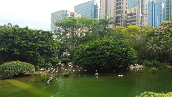 Parc de Kowloon